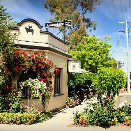 Cocknbull Boutique Hotel Echuca Εξωτερικό φωτογραφία